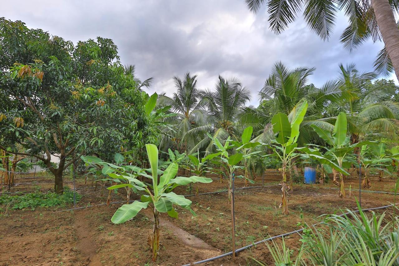 Sayon River Cottage & Eco Garden Monaragala Bagian luar foto