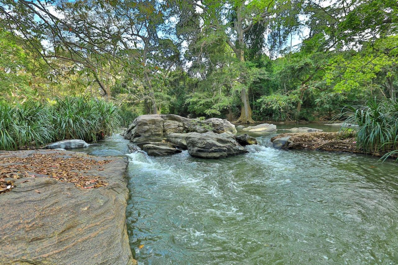 Sayon River Cottage & Eco Garden Monaragala Bagian luar foto